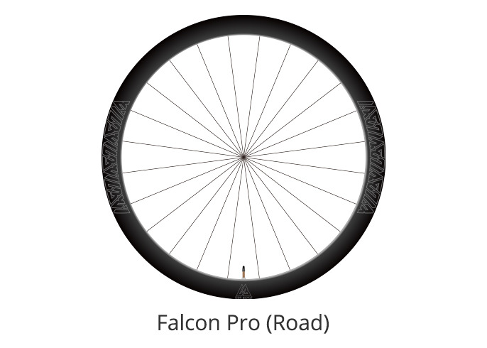 light-bicycle-laser-graphics-falcon-pro-series.jpeg